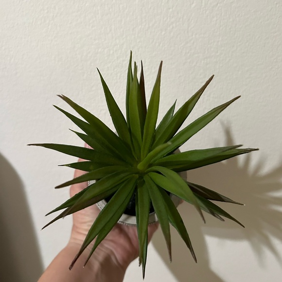 Faux succulent in concrete pot - Picture 3 of 3